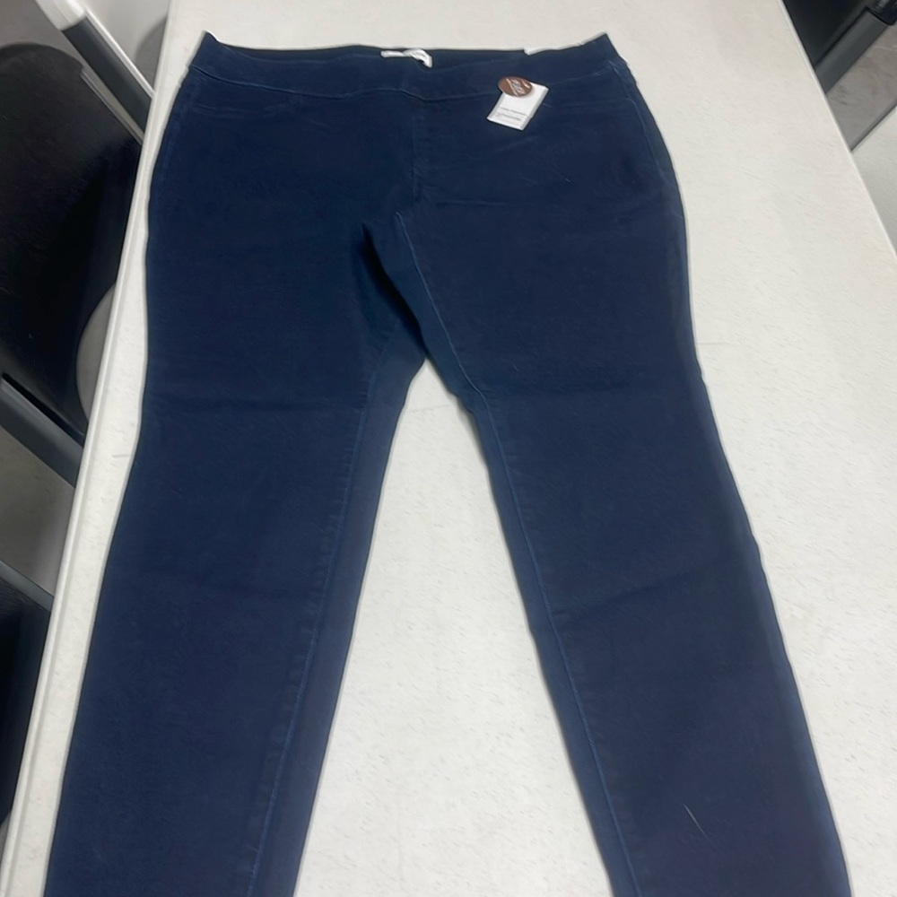 Plus size 18 Lane Bryant jegging. New!